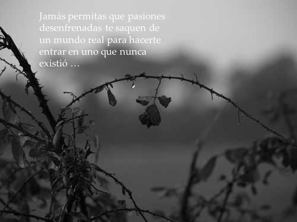 Jamás permitas que pasiones desenfrenadas te saquen de un mundo real para hacerte entrar en uno que nunca existió …