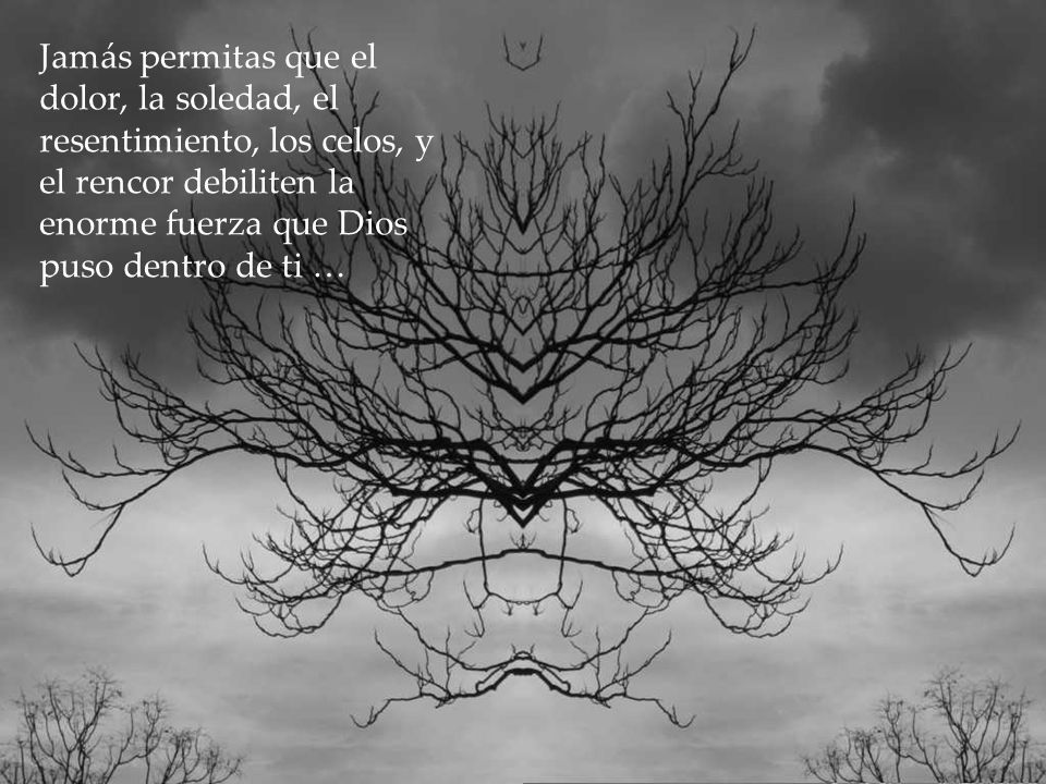 Jamás permitas que el dolor, la soledad, el resentimiento, los celos, y el rencor debiliten la enorme fuerza que Dios puso dentro de ti …