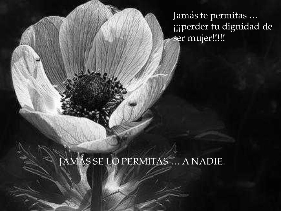 Jamás te permitas … ¡¡¡perder tu dignidad de ser mujer!!!!!