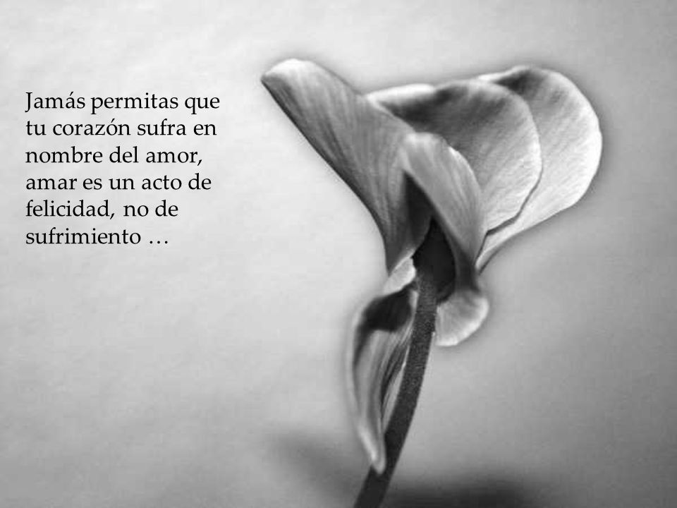 Jamás permitas que tu corazón sufra en nombre del amor, amar es un acto de felicidad, no de sufrimiento …