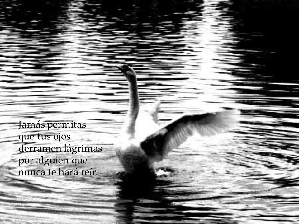 Jamás permitas que tus ojos derramen lágrimas por alguien que nunca te hará reír.
