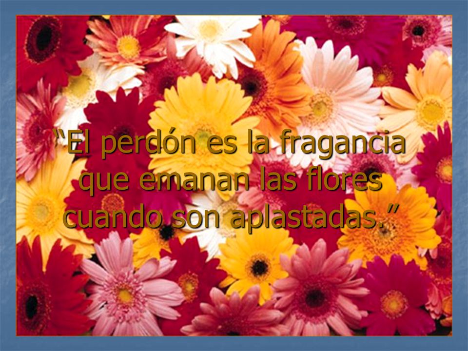 El perdón es la fragancia que emanan las flores cuando son aplastadas