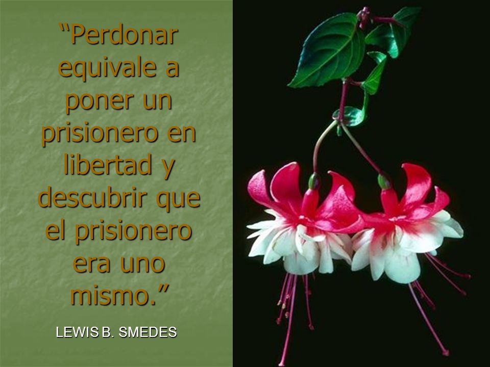 Perdonar equivale a poner un prisionero en libertad y descubrir que el prisionero era uno mismo.