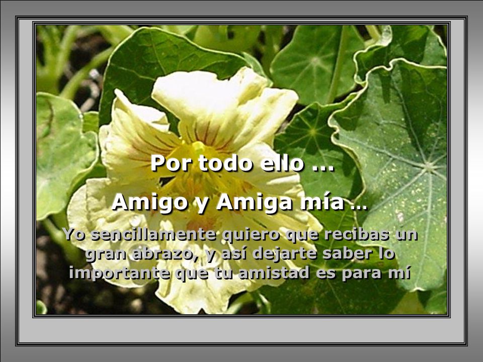 Amigo y Amiga mía ... Por todo ello ...