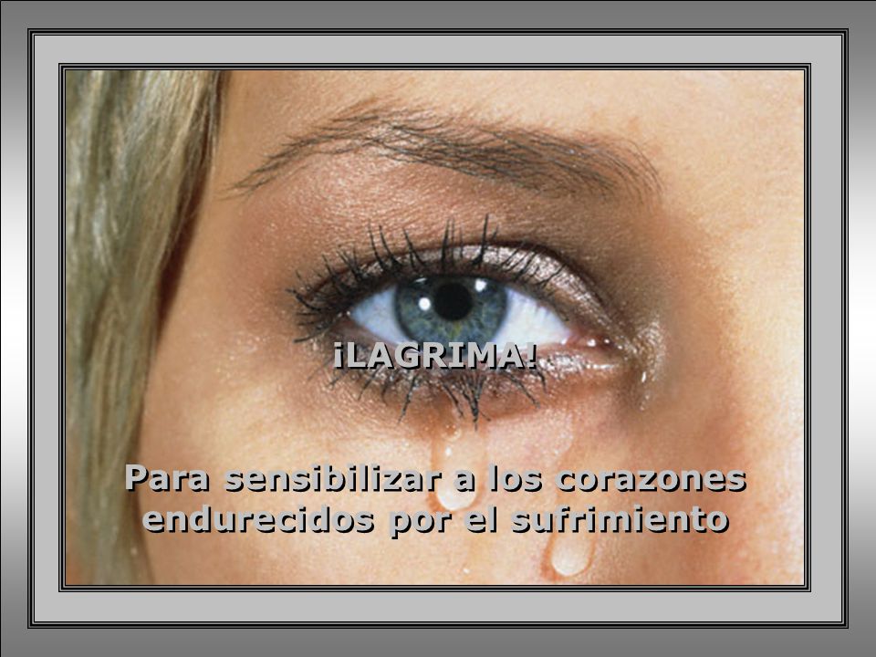 Para sensibilizar a los corazones endurecidos por el sufrimiento
