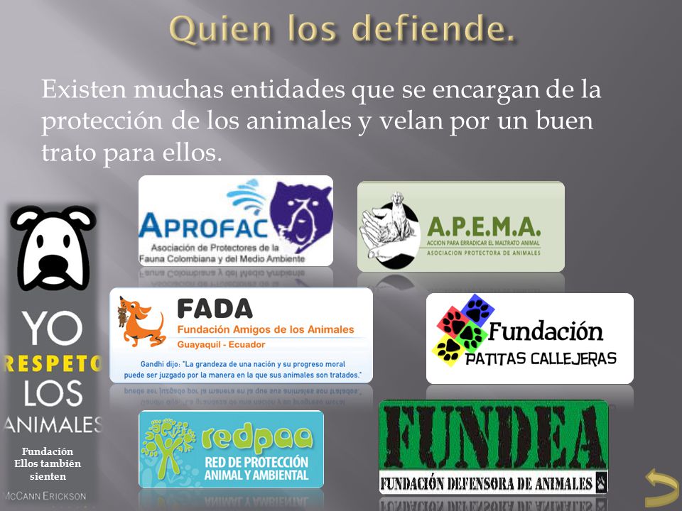 Quien los defiende. Existen muchas entidades que se encargan de la protección de los animales y velan por un buen trato para ellos.