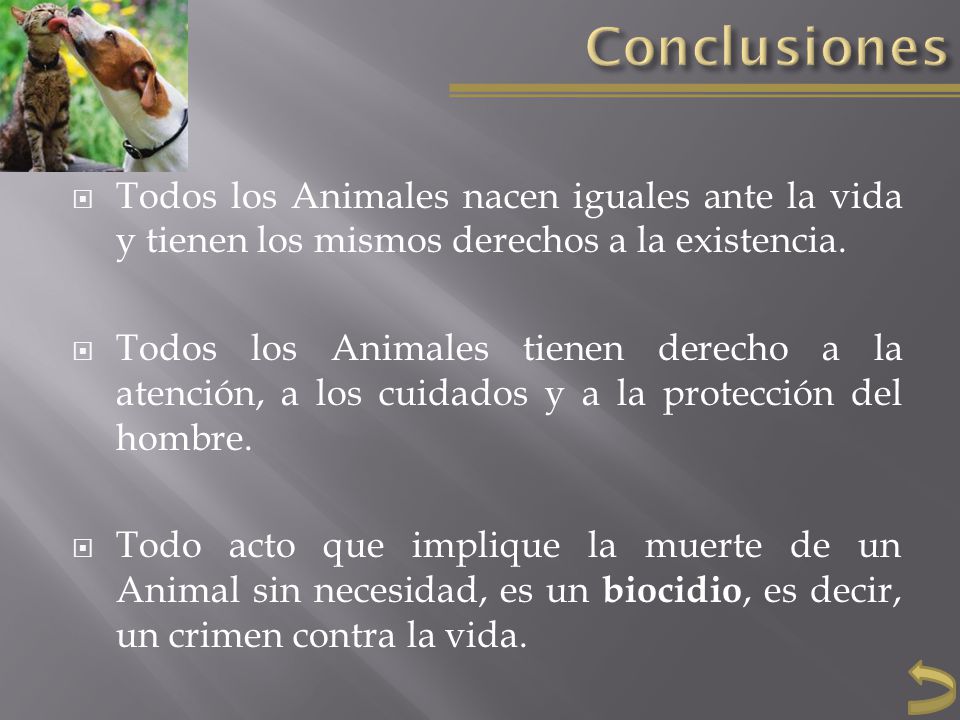 Conclusiones Todos los Animales nacen iguales ante la vida y tienen los mismos derechos a la existencia.