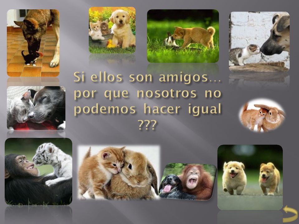 Si ellos son amigos… por que nosotros no podemos hacer igual