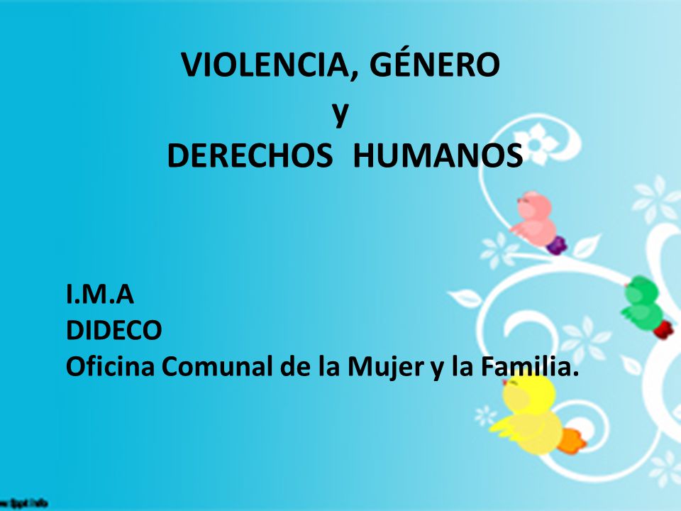 VIOLENCIA, GÉNERO y DERECHOS HUMANOS