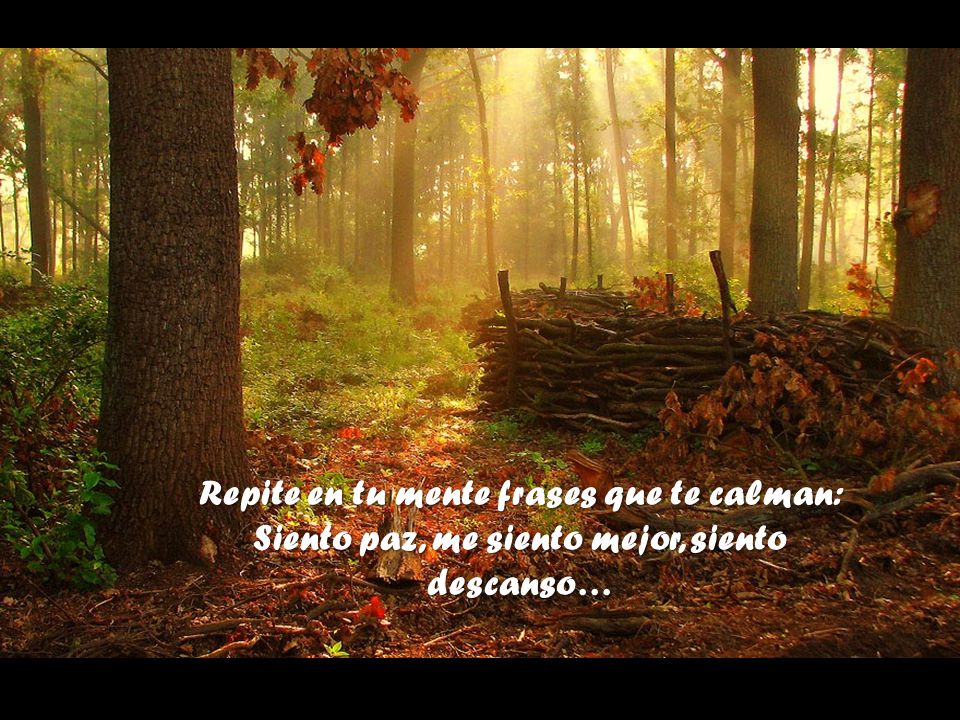 Repite en tu mente frases que te calman: Siento paz, me siento mejor, siento descanso…