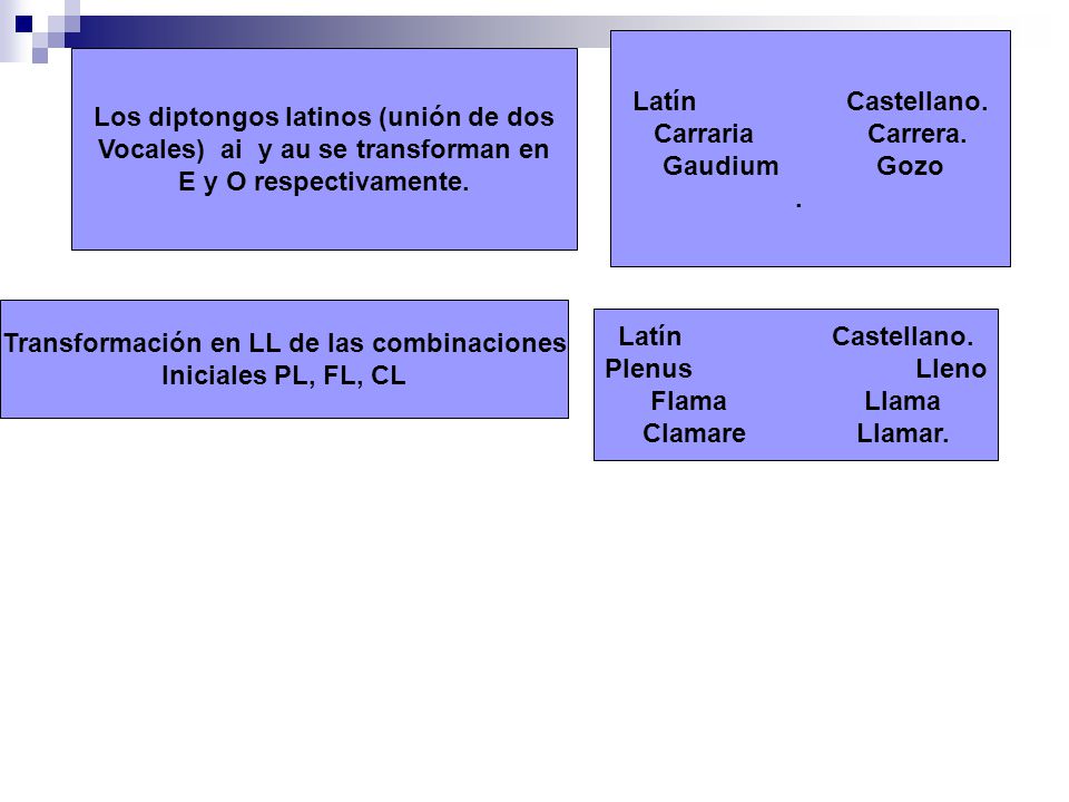 Los diptongos latinos (unión de dos Vocales) ai y au se transforman en