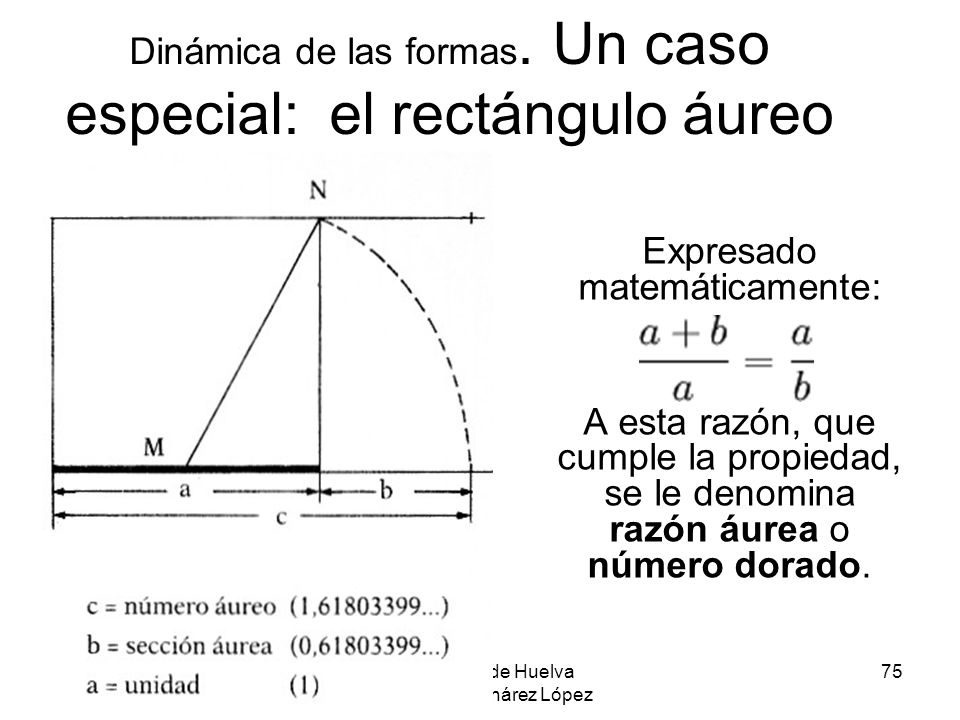 Dinámica de las formas. Un caso especial: el rectángulo áureo