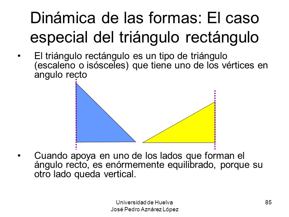 Dinámica de las formas: El caso especial del triángulo rectángulo