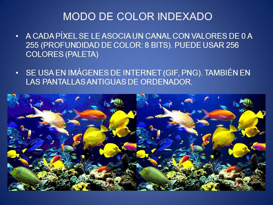 MODO DE COLOR INDEXADO A CADA PÍXEL SE LE ASOCIA UN CANAL CON VALORES DE 0 A 255 (PROFUNDIDAD DE COLOR: 8 BITS). PUEDE USAR 256 COLORES (PALETA)