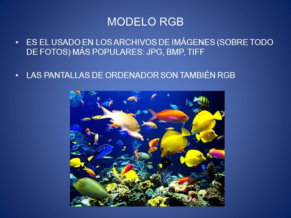 MODELO RGB ES EL USADO EN LOS ARCHIVOS DE IMÁGENES (SOBRE TODO DE FOTOS) MÁS POPULARES: JPG, BMP, TIFF.