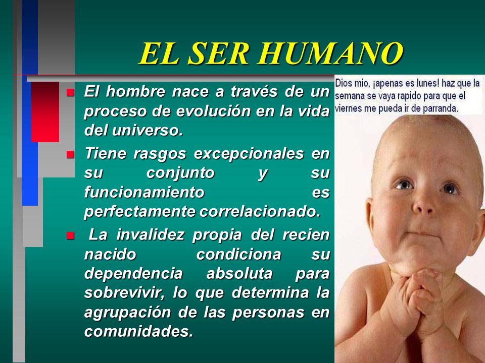 EL SER HUMANO El hombre nace a través de un proceso de evolución en la vida del universo.