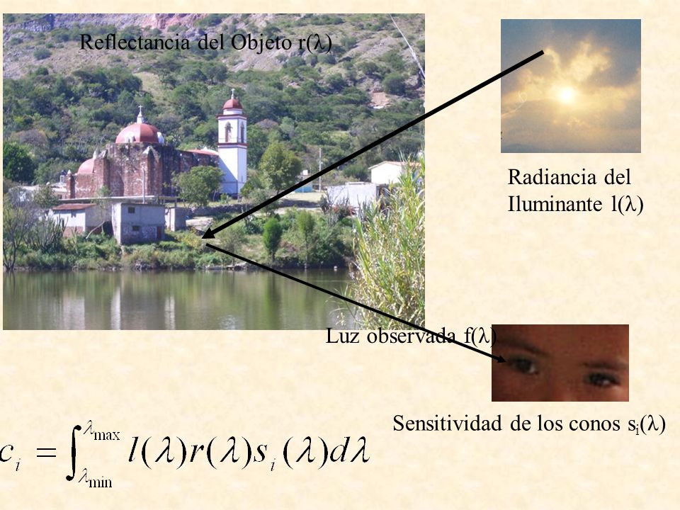 Reflectancia del Objeto r(λ)