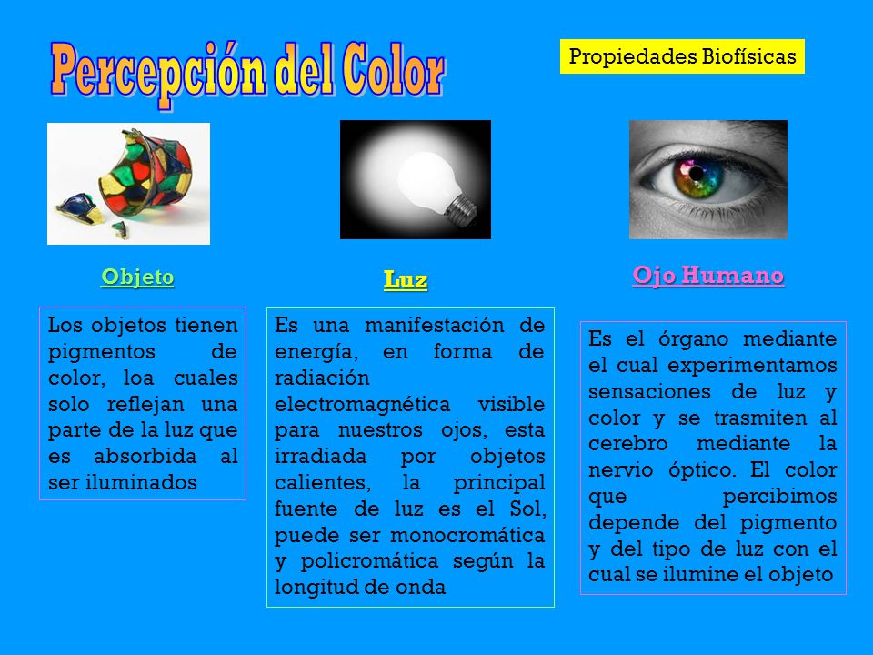 Percepción del Color Ojo Humano Luz Propiedades Biofísicas Objeto