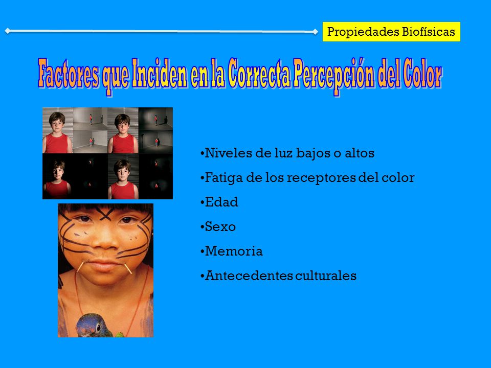 Factores que Inciden en la Correcta Percepción del Color