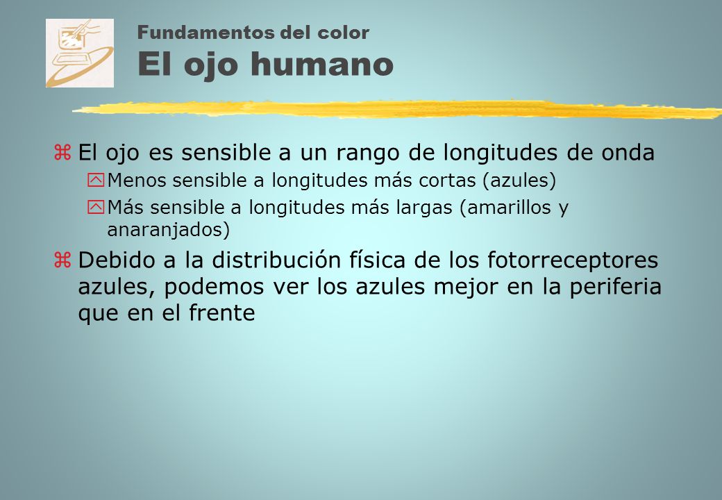Fundamentos del color El ojo humano