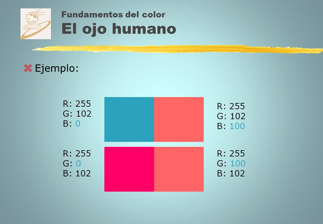 Fundamentos del color El ojo humano