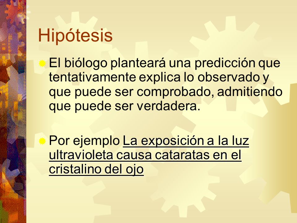 Hipótesis El biólogo planteará una predicción que tentativamente explica lo observado y que puede ser comprobado, admitiendo que puede ser verdadera.