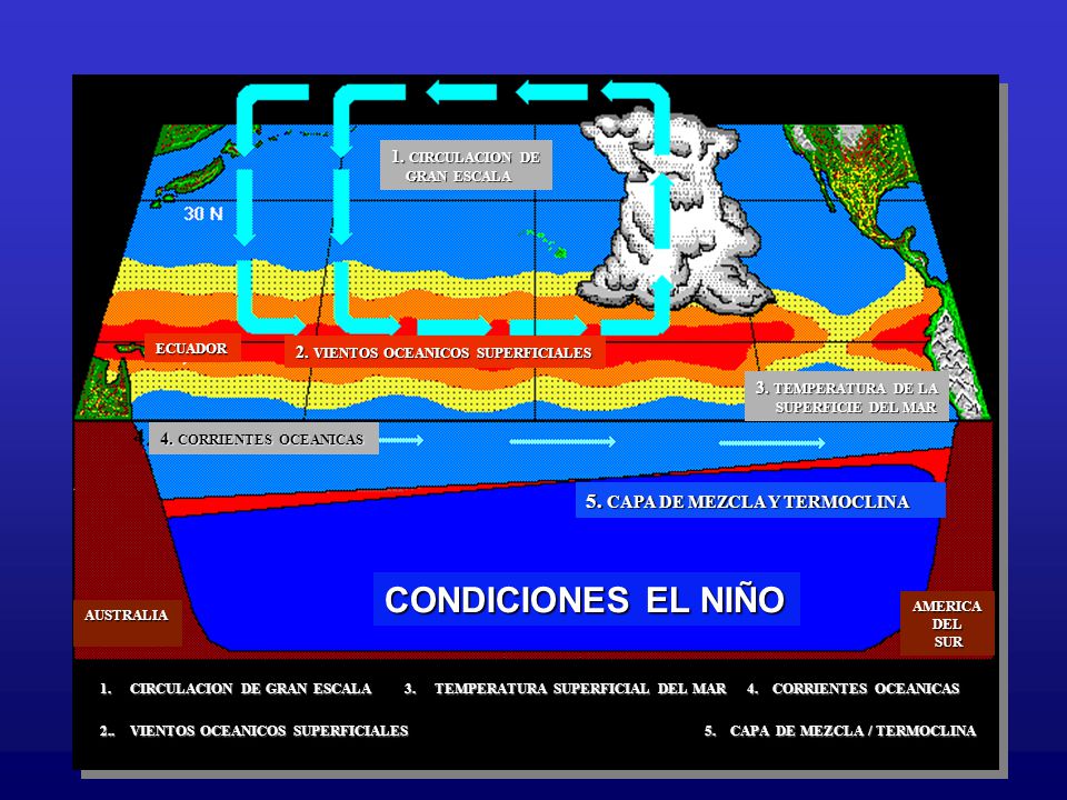 CONDICIONES EL NIÑO 5. CAPA DE MEZCLA Y TERMOCLINA 1. CIRCULACION DE