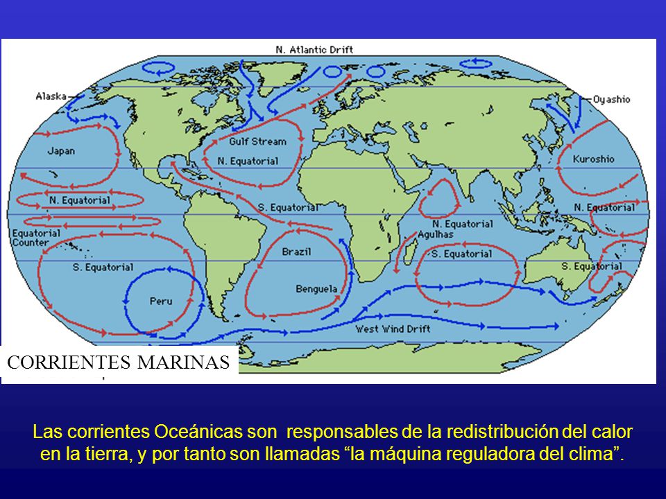 CORRIENTES MARINAS Las corrientes Oceánicas son responsables de la redistribución del calor.
