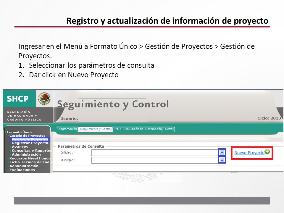 Registro y actualización de información de proyecto