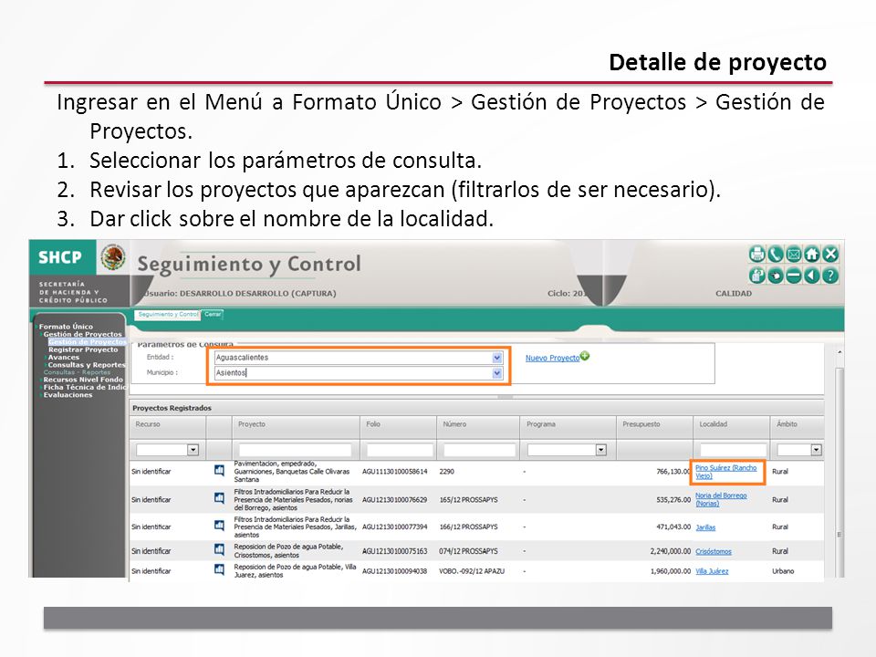 Detalle de proyecto Ingresar en el Menú a Formato Único > Gestión de Proyectos > Gestión de Proyectos.