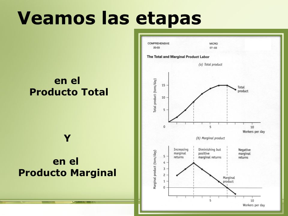 Veamos las etapas en el Producto Total Y Producto Marginal