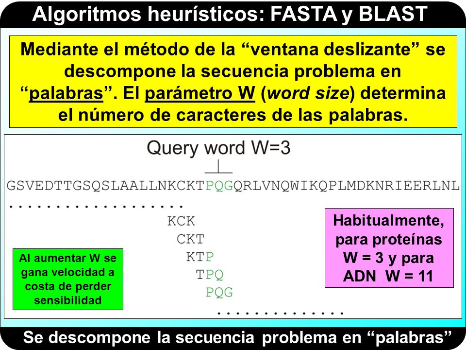 Mediante el método de la ventana deslizante se descompone la secuencia problema en palabras . El parámetro W (word size) determina el número de caracteres de las palabras.