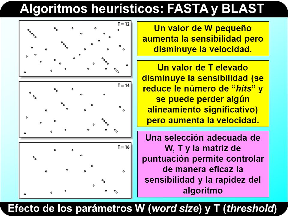 Efecto de los parámetros W (word size) y T (threshold)