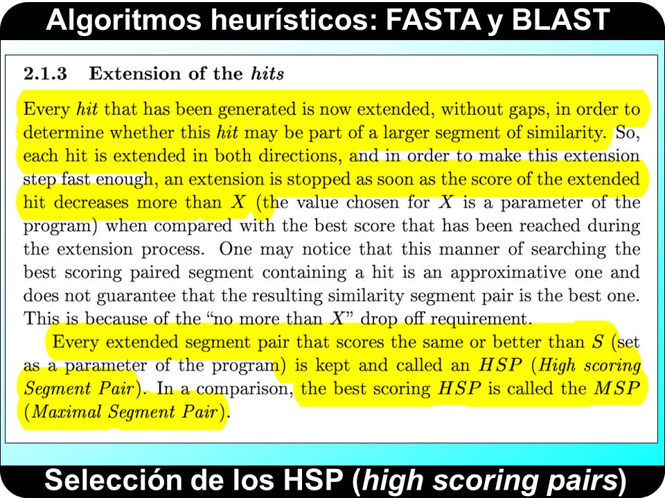 Selección de los HSP (high scoring pairs)