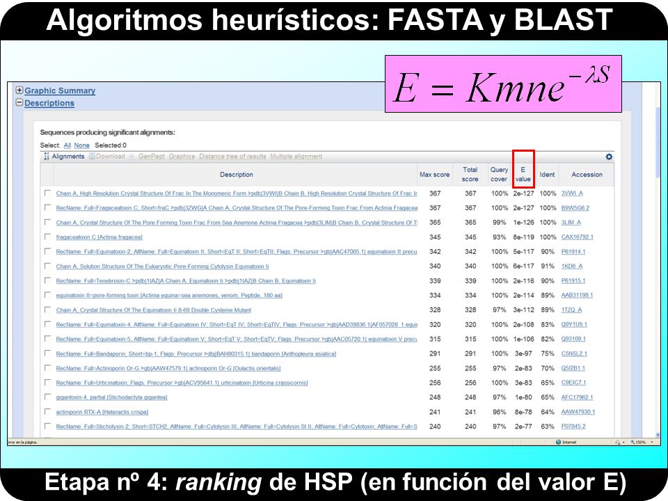 Etapa nº 4: ranking de HSP (en función del valor E)