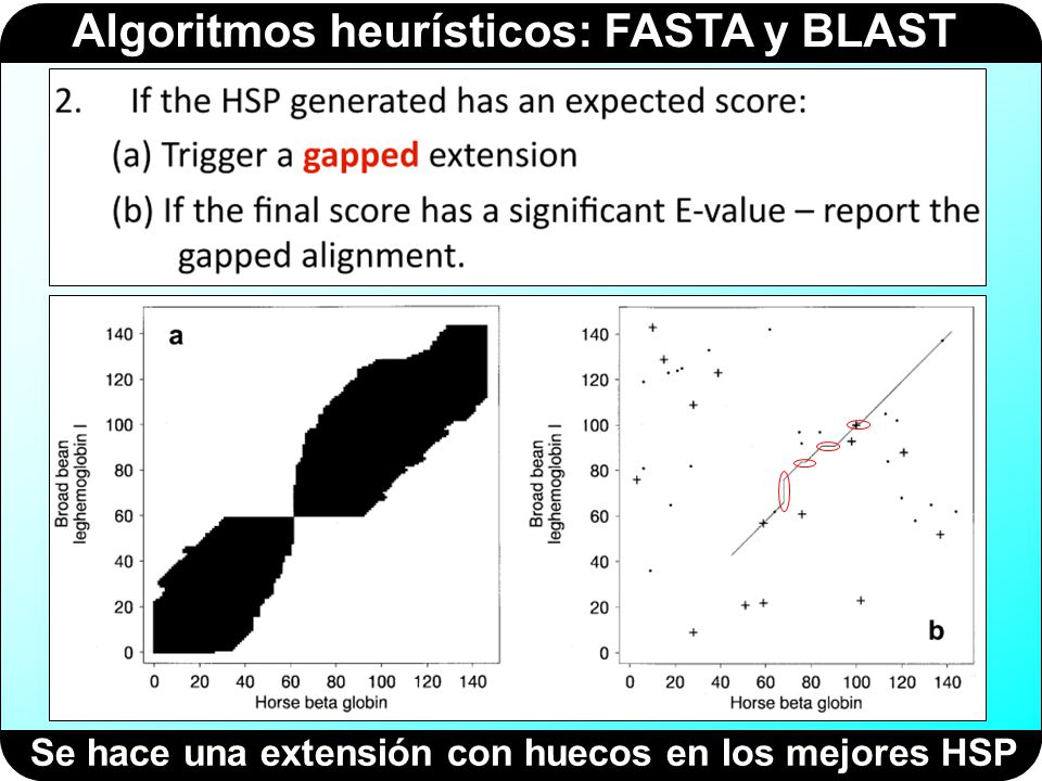 Se hace una extensión con huecos en los mejores HSP