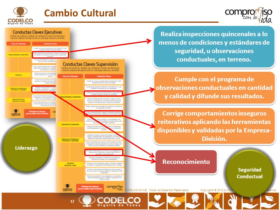 Cambio Cultural Realiza inspecciones quincenales a lo menos de condiciones y estándares de seguridad, u observaciones conductuales, en terreno.