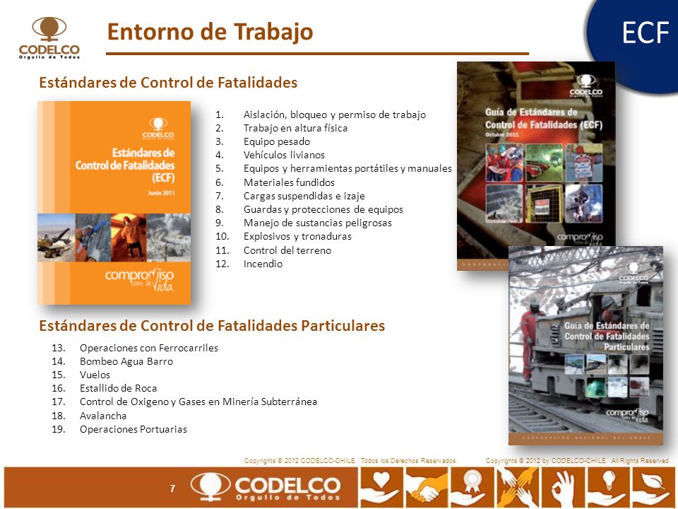 ECF Entorno de Trabajo Estándares de Control de Fatalidades