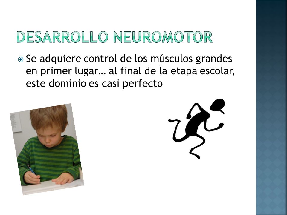 Desarrollo neuromotor