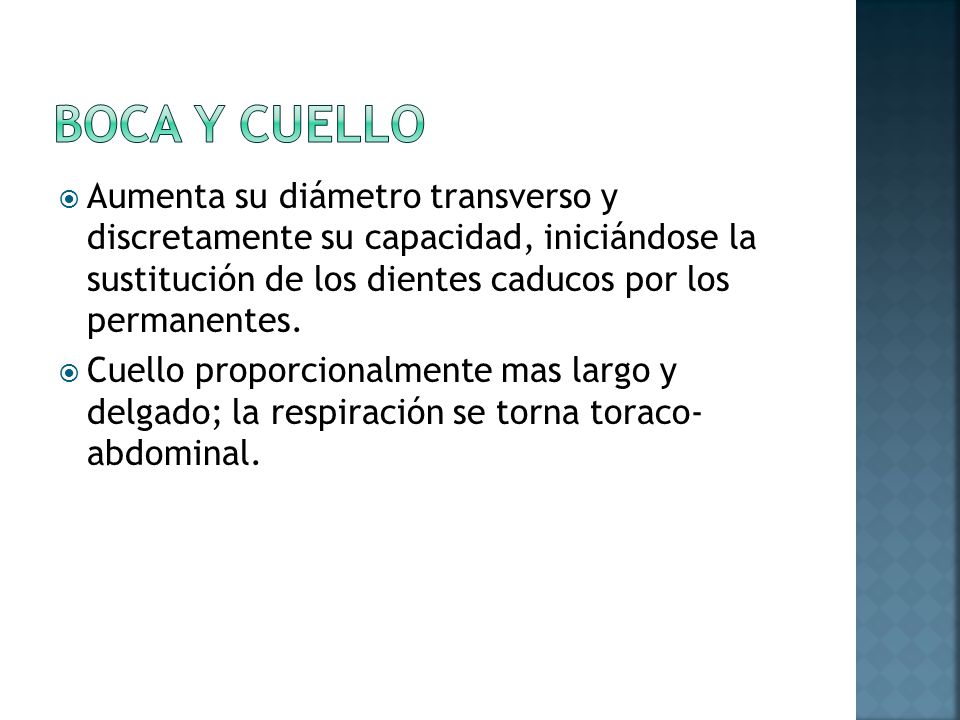 Boca y cuello Aumenta su diámetro transverso y discretamente su capacidad, iniciándose la sustitución de los dientes caducos por los permanentes.