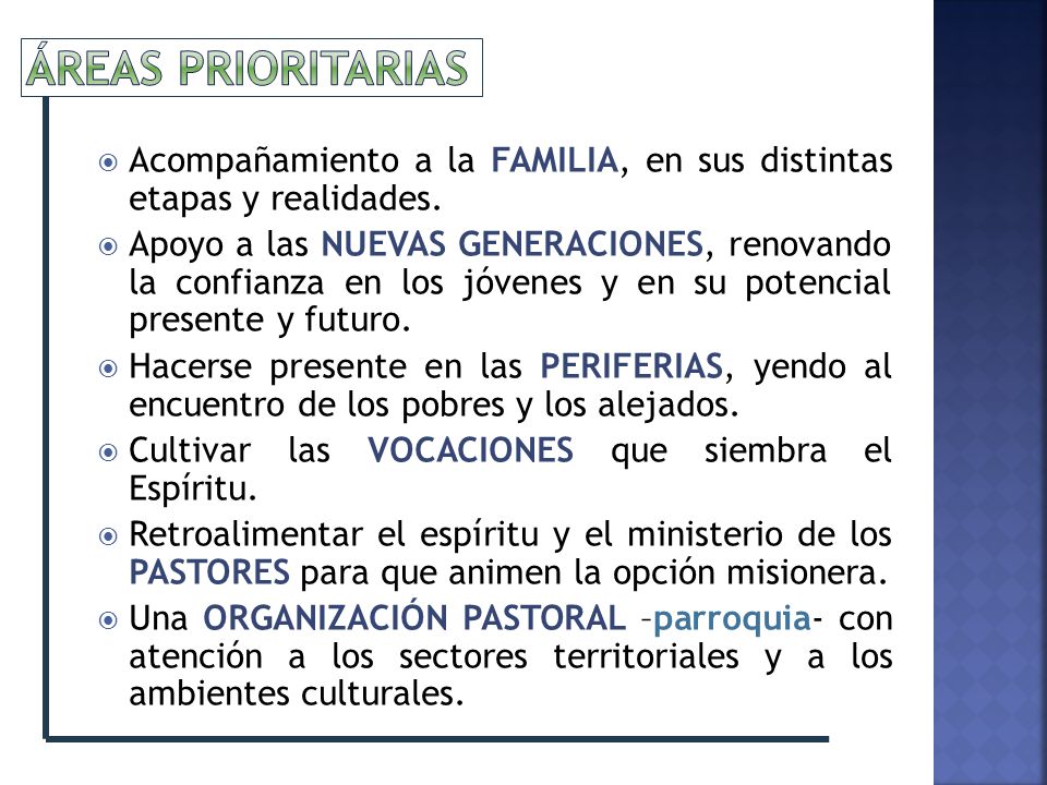ÁREAS PRIORITARIAS Acompañamiento a la FAMILIA, en sus distintas etapas y realidades.