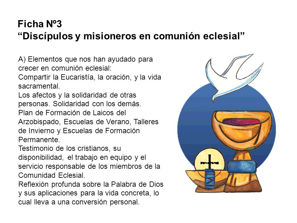 Discípulos y misioneros en comunión eclesial