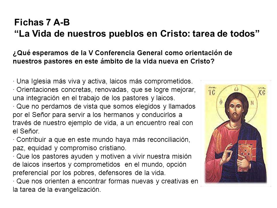 La Vida de nuestros pueblos en Cristo: tarea de todos