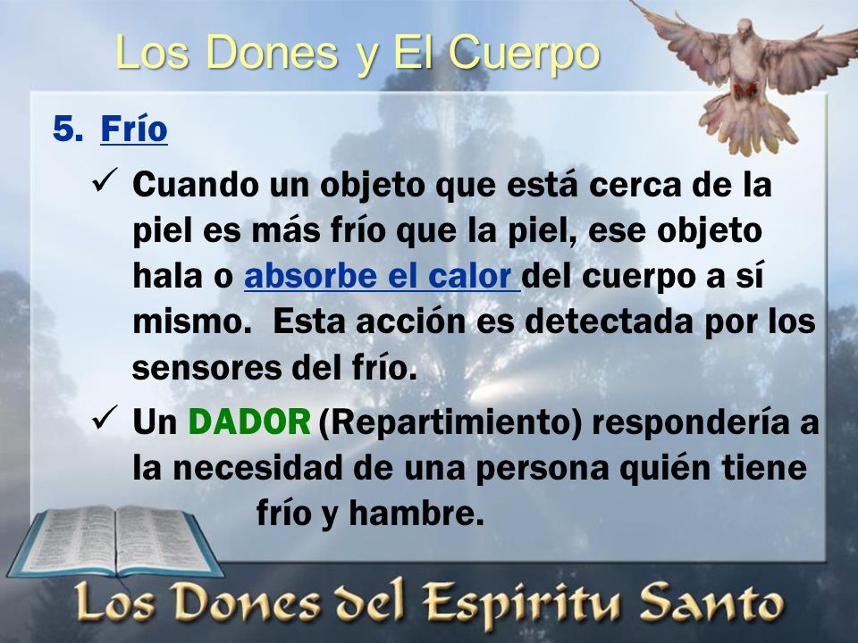 Las Etapas de Descubrimiento