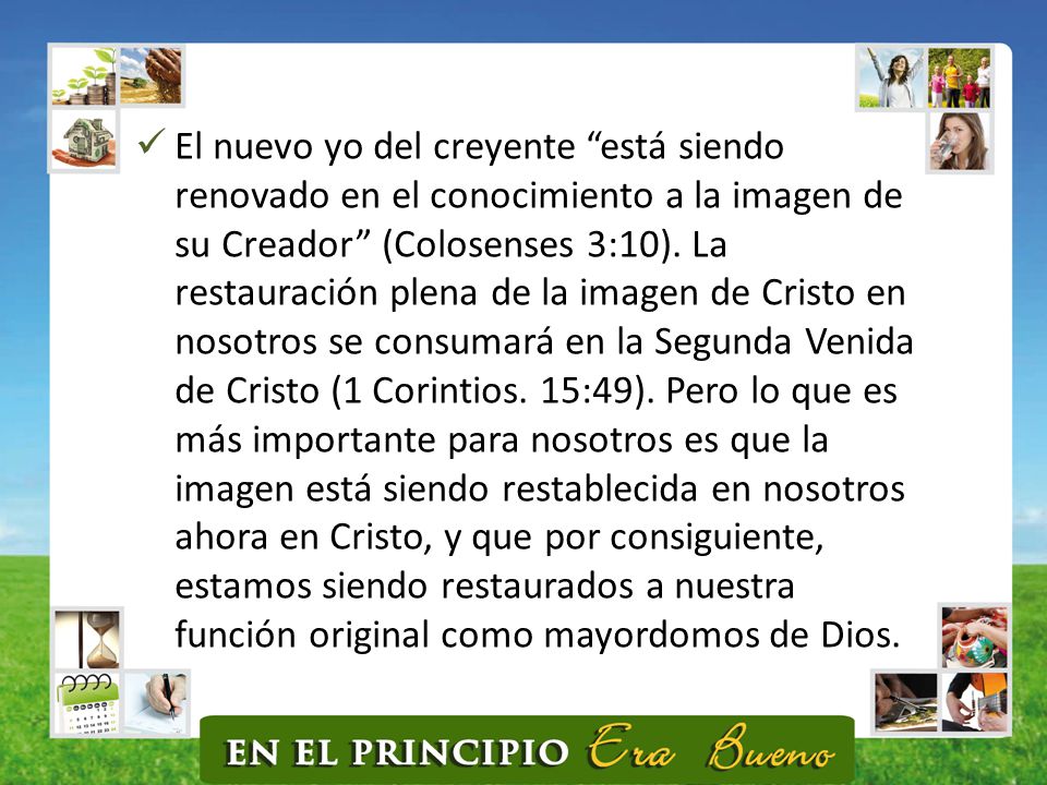 El nuevo yo del creyente está siendo renovado en el conocimiento a la imagen de su Creador (Colosenses 3:10).