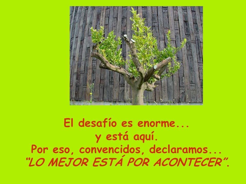 Por eso, convencidos, declaramos... LO MEJOR ESTÁ POR ACONTECER .