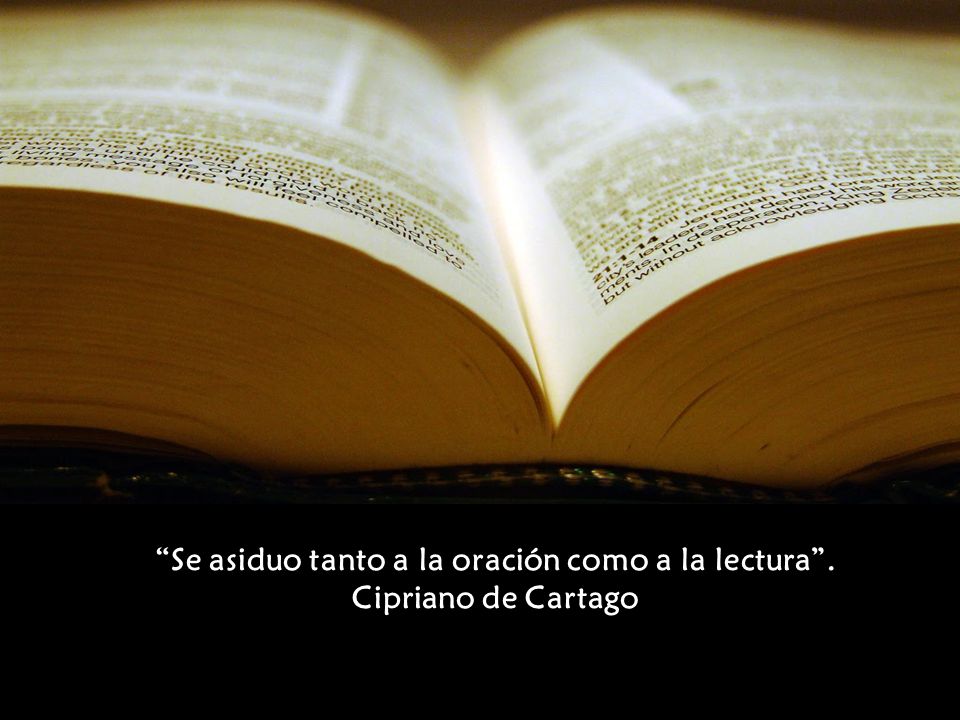 Se asiduo tanto a la oración como a la lectura . Cipriano de Cartago