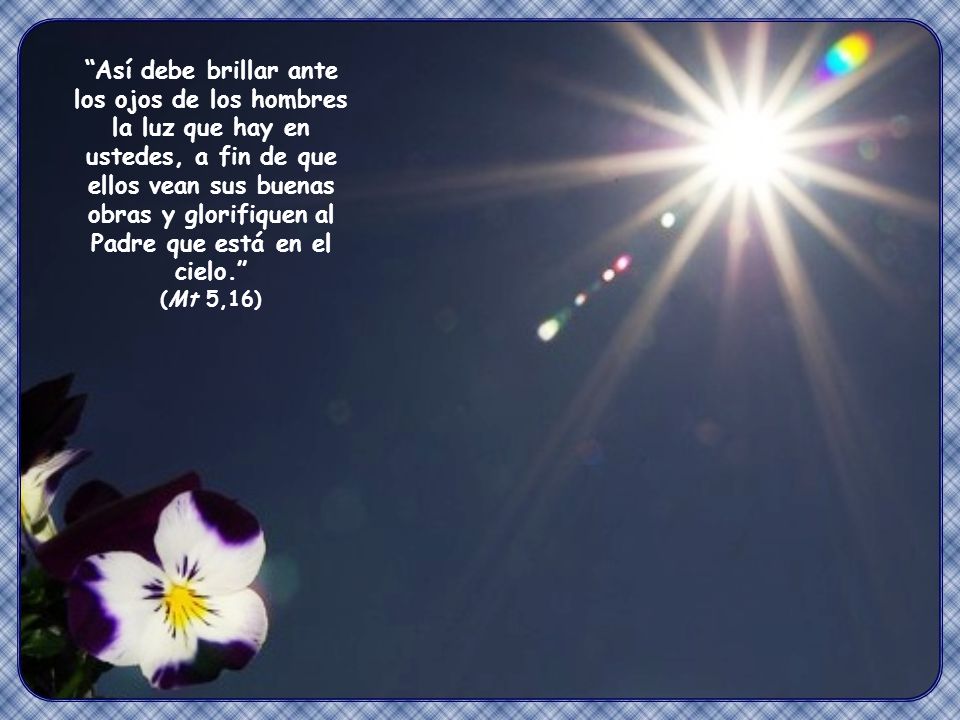 Así debe brillar ante los ojos de los hombres la luz que hay en ustedes, a fin de que ellos vean sus buenas obras y glorifiquen al Padre que está en el cielo. (Mt 5,16)