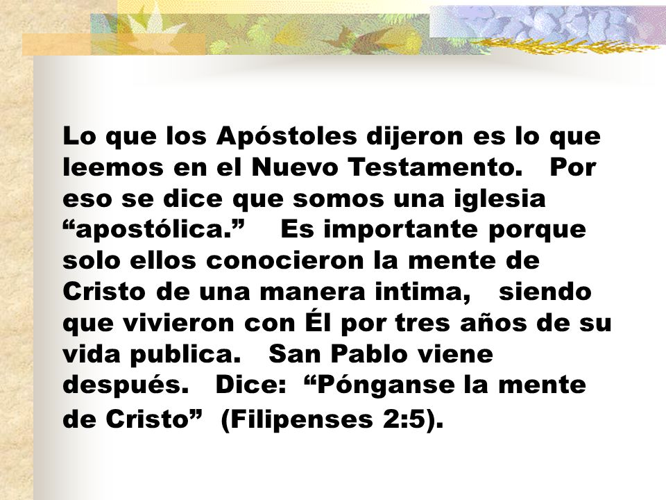Lo que los Apóstoles dijeron es lo que leemos en el Nuevo Testamento