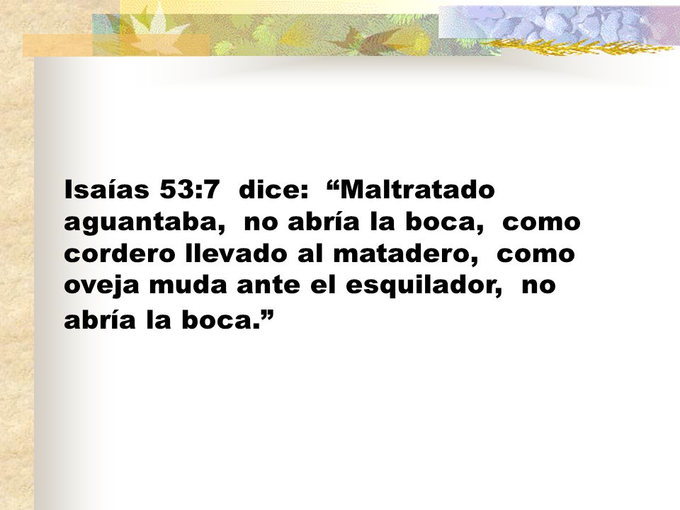 Isaías 53:7 dice: Maltratado aguantaba, no abría la boca, como cordero llevado al matadero, como oveja muda ante el esquilador, no abría la boca.